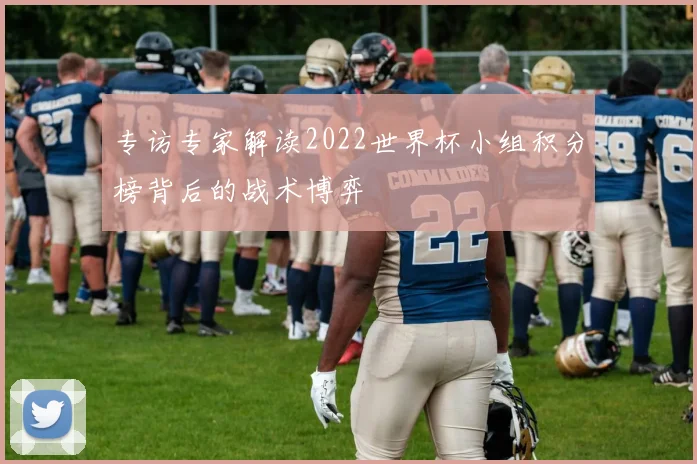 专访专家解读2022世界杯小组积分榜背后的战术博弈