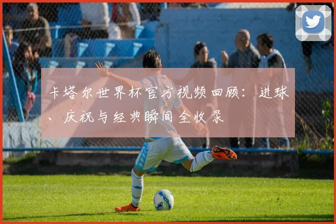 卡塔尔世界杯官方视频回顾：进球、庆祝与经典瞬间全收录