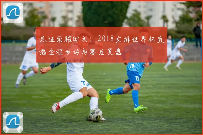 见证荣耀时刻：2018女排世界杯直播全程专访与赛后复盘