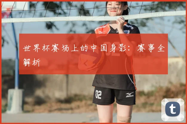 世界杯赛场上的中国身影：赛事全解析