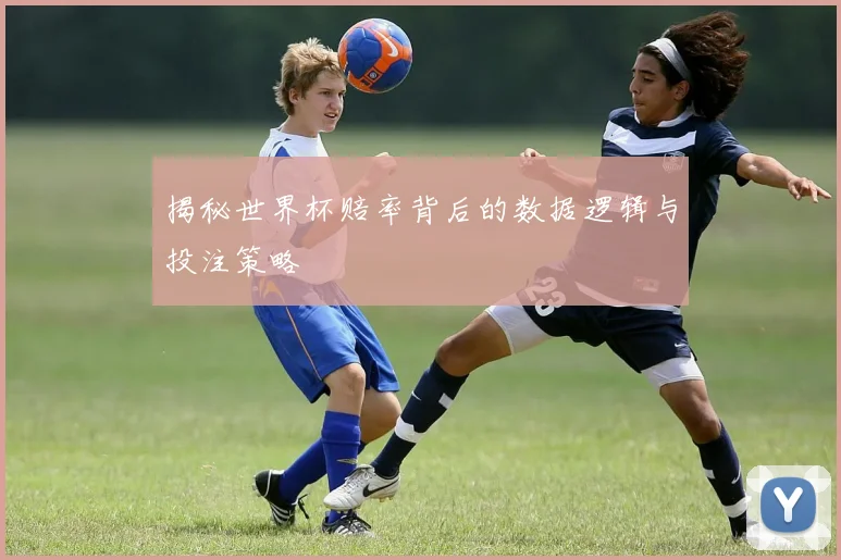 揭秘世界杯赔率背后的数据逻辑与投注策略