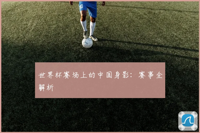 世界杯赛场上的中国身影：赛事全解析