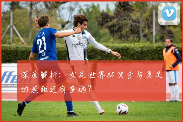 深度解析：女足世界杯奖金与男足的差距还有多远？