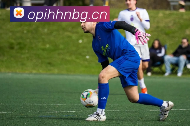 九游入口官网登录平台生态图