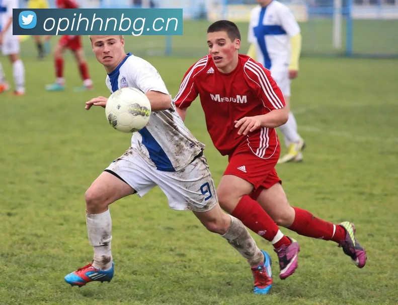 九游入口官网登录APP 封面图